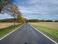 long empty road in rural area with tree lined street area in front of a grassy field