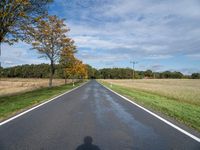 long empty road in rural area with tree lined street area in front of a grassy field