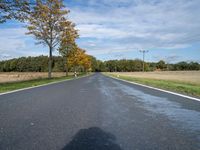 long empty road in rural area with tree lined street area in front of a grassy field