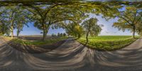 two pictures showing the same trees in one image and the road, both with a street corner