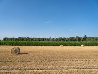 Germany Rural Agriculture Landscape