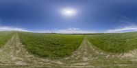 an image of a field with a sun in the background and one of the two lines visible