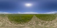 a camera view of an open field with grass and a blue sky in the background