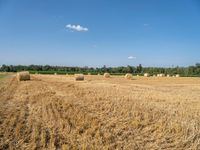 many round hay bales are laying in the field, waiting to be harvested into the hay