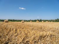 many round hay bales are laying in the field, waiting to be harvested into the hay