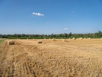 many round hay bales are laying in the field, waiting to be harvested into the hay