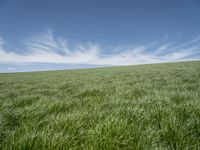 a field of grass on a sunny day in a blue sky with clouds around it