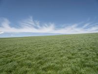 a field of grass on a sunny day in a blue sky with clouds around it