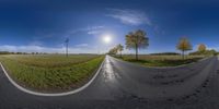 360 view of a road with grass and trees near it and the sun in the sky