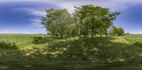 a field with many trees and green grass around it, with a bright blue sky above