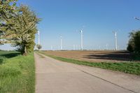 a dirt road with wind generators on each side near a green field and a fenced off area with an area for corn