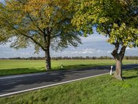 Rural Road in Germany: Asphalt, Trees, and Fields