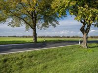 Rural Road in Germany: Asphalt, Trees, and Fields