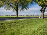 Rural Road in Germany: Asphalt, Trees, and Fields