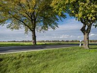 Rural Road in Germany: Asphalt, Trees, and Fields