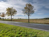 this road has two trees along side of the road and a field with green grass