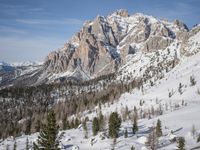 snow covered hills are full and surrounded by evergreen trees on a clear day with no clouds