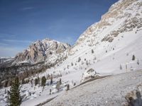 snow covered hills are full and surrounded by evergreen trees on a clear day with no clouds