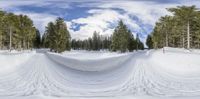 an extreme snowboarding downhill course with trees in the background and a sky that appears like the moon is shining