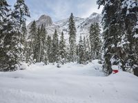 skier wearing red pants standing in a snowy area with trees and mountains in the background