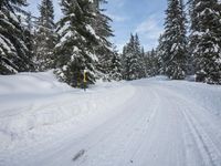Snowy Mountain Landscape in Germany: A Winter Wonderland