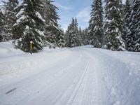 Snowy Mountain Landscape in Germany: A Winter Wonderland