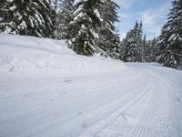 Snowy Mountain Landscape in Germany: A Winter Wonderland