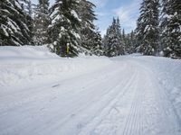 Snowy Mountain Landscape in Germany: A Winter Wonderland