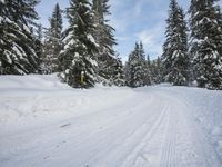 Snowy Mountain Landscape in Germany: A Winter Wonderland