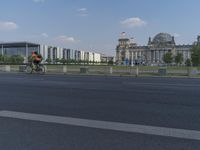 Germany's Urban Design: A Thumbnail of Vegetation Against a Clear Sky