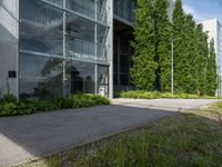 a picture of the entrance to an office building with a tree on each side and a path to the left