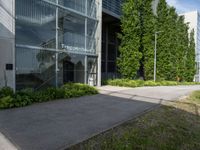 a picture of the entrance to an office building with a tree on each side and a path to the left