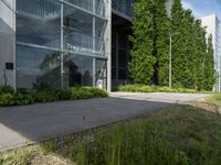 a picture of the entrance to an office building with a tree on each side and a path to the left