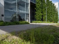 a picture of the entrance to an office building with a tree on each side and a path to the left