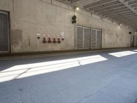 Urban Life in Germany: Bridges and Underpasses on the Road