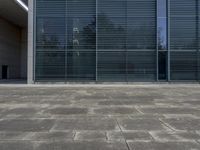Urban City in Germany: A Glass Wall View
