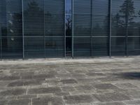Urban City in Germany: A Glass Wall View