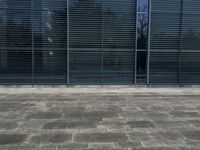 Urban City in Germany: A Glass Wall View
