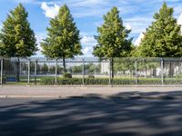 an empty road next to the side of a road with several trees lining both sides