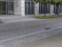 a street with many trees and brick pavement on it's sides, next to the sidewalk is a tree