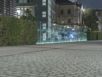 Germany Urban Design: Cobblestone Road Lighting