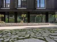 a black building with a lot of windows and some grass on the side of the street