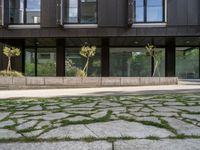 a black building with a lot of windows and some grass on the side of the street