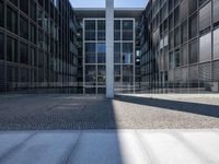 the building is glass and is near a cobblestone surface and trees in between