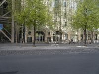 this picture shows two trees on the sidewalk in front of a building with green leaves