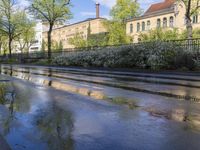 Germany Urban Landscape: Asphalt Roads 002