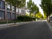 an empty road next to several buildings with trees lining it and leaves littering the pavement