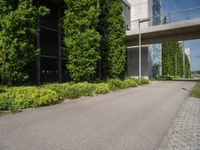 a paved walkway leads to a tall concrete building with large windows and trees behind it