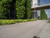 a paved walkway leads to a tall concrete building with large windows and trees behind it