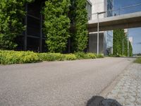 a paved walkway leads to a tall concrete building with large windows and trees behind it